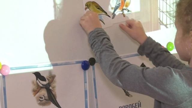 Воспитатель года_Анастасия Златина