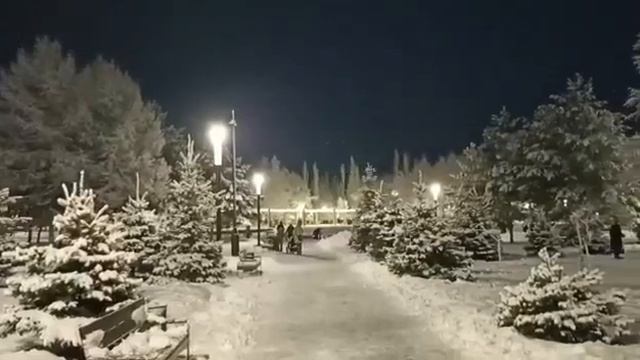 White trees in a park смотреть онлайн