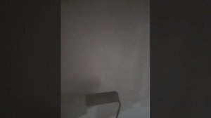 пробую краски на укрывистость husky