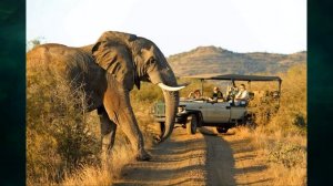 §17 "Охрана природы", География 7 класс ч.1, Домогацких