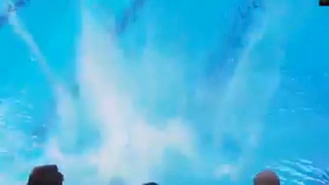 Неудачные прыжки в воду смотреть онлайн