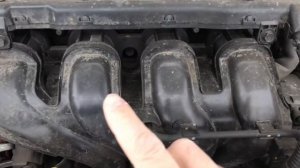 Шум двигателя новой KIA RIO