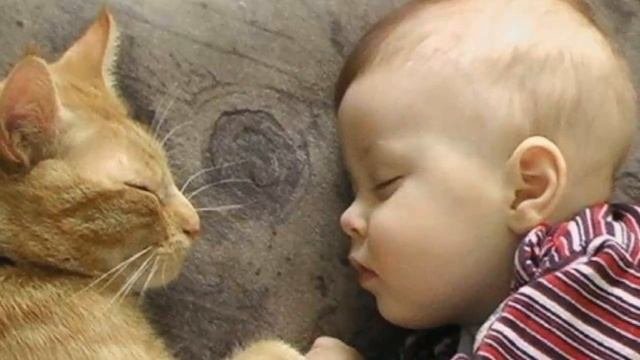 Uyimizdagi Shifokor Ya’ni Mushuk Xaqida ✿❀Уйимиздаги шифокор Мушук хақида