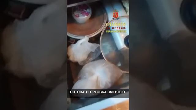 САМОЕ СЛАБОЕ ЗВЕНО