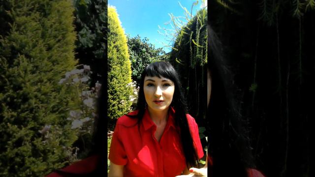 Аптечка скорой помощи при унынии смотреть онлайн