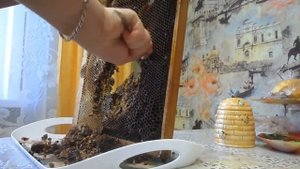 Пчеловодство - Извлечение перги из рамки. ( добыча перги )