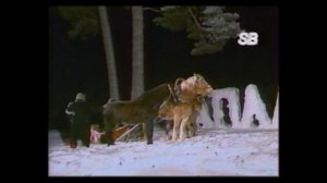 Анатолий Днепров  - Новый год у ворот!