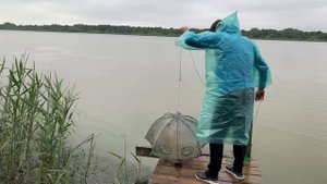 Рыбалка Дунай. Вилково. Дикие места, рай для рыбаков. Дунайская селёдка