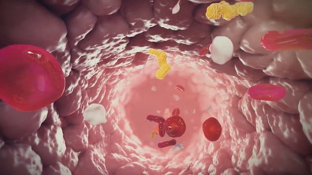 How does warfarin work?