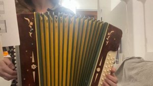 «Что стоишь качаясь, тонкая рябина» на гармони Беларусь, игра по нотам