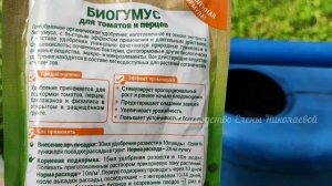 ВОЛШЕБНЫЙ ЭЛИКСИР для Томатов, Перцев, Огурцов и они вмиг Заплодоносят и не будут болеть!