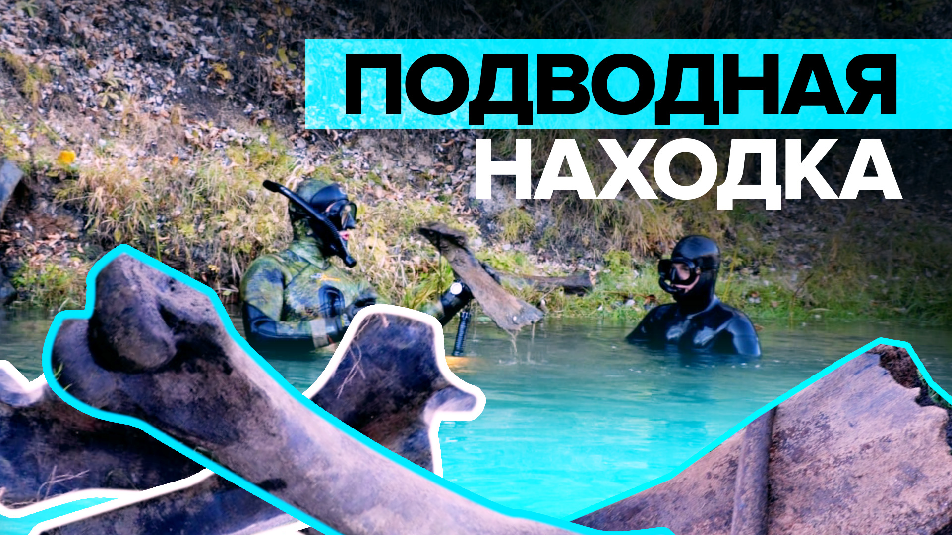 Охота на мамонта: водолазы нашли останки древних животных в Самарской области