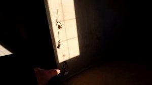 Дом в городе Белгород(Новосадовый) 160кв. 15сот.