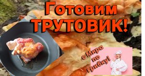 Вкусный гриб Трутовик с дуба-дерева. Трутовик серно-желтый . Попробовала. Вкусно. Не умерла!