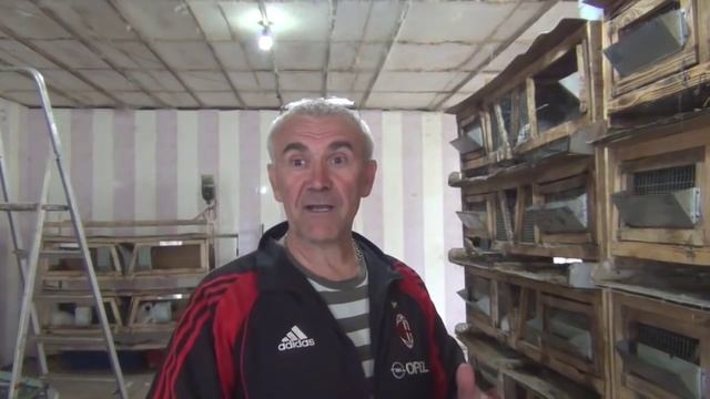 Разведение кроликов калифорнийской породы в ЛПХ Сахон Харьковская область смотреть онлайн