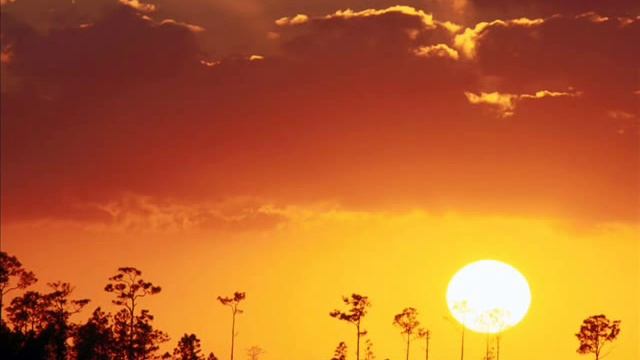 Бог мой, храни меня! смотреть онлайн