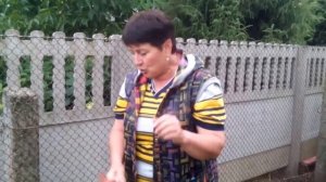 Актинидия. Выбор способа размножения