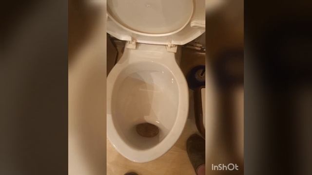 Удаление известкого камня с унитаза-ЭЛЕКТОЛИТОМ. смотреть онлайн