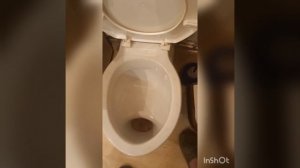 Удаление известкого камня с унитаза-ЭЛЕКТОЛИТОМ.