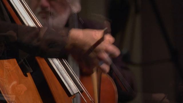 Dark With Excessive Bright for Double Bass and Strings