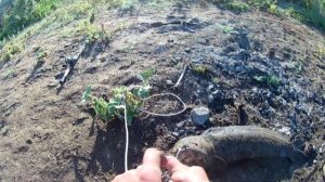 ТРОФЕЙНАЯ РЫБАЛКА НА ЗМЕЕГОЛОВА /  ЛОВЛЯ НА СПИННИНГ