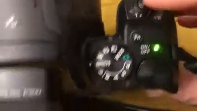 Nikon Coolpix P900 Selective Color смотреть онлайн