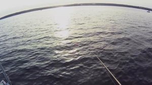 Ловля вечернего судака. Рыбалка на Волге.