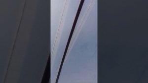 Выращивание клубники на ярусах