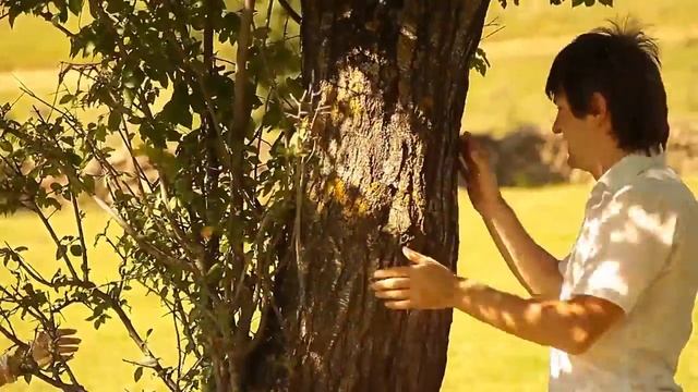 Гюльназ Гаджикурбанова Золотые кольца смотреть онлайн