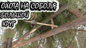 Охота на соболя с лайками.Ушли на дальняк