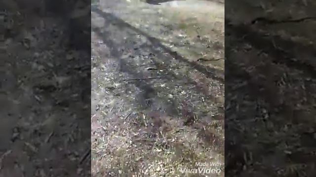 Ребят тыкая палец в говно на 15 подписчиков!! смотреть онлайн