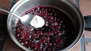 Черника протертая с сахаром на агар-агаре