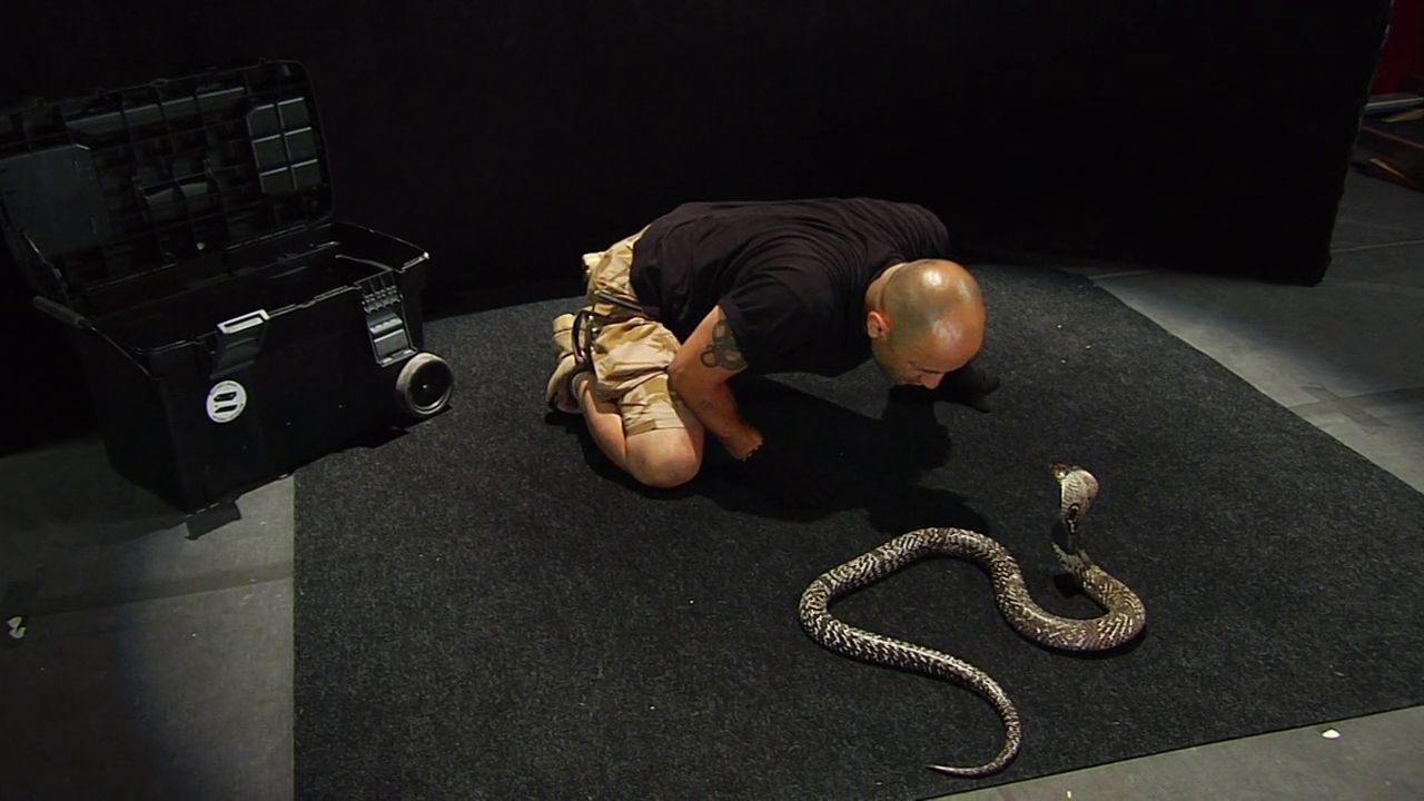 Битва экстрасенсов: Укротитель кобры