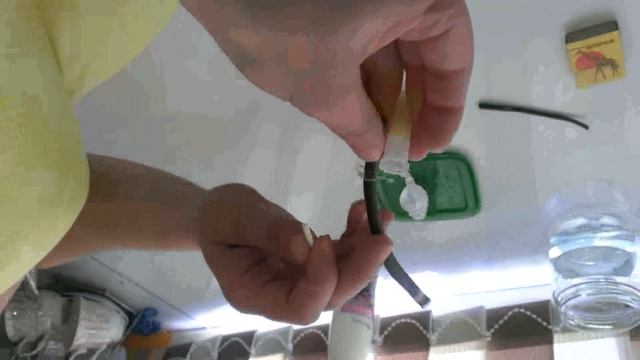 Орхидеи. Как размножить черенками. № 2 смотреть онлайн