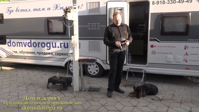 Путешествия с домом на колесах за границу с собакой. Как правильно оформить документы смотреть онлайн