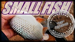 ФИДЕР НА КУЙБЫШЕВСКОМ ВОДОХРАНИЛИЩЕ