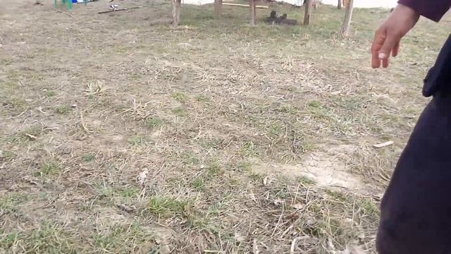 Рыбалка на Кубани. Горячий Ключ рыбалка и отдых у смотреть онлайн