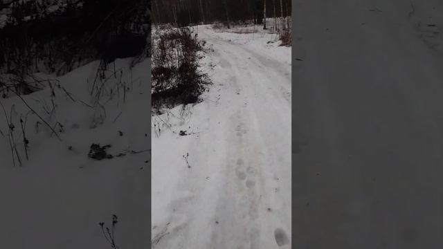 Рыбалка в Волое смотреть онлайн