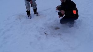 "Горе" рыбаки.. Рыбалка в Вологодской области, в глухозимье...