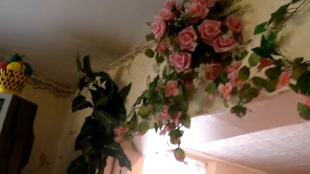 Песня "Белые розы", исполняет Александр Малинкин смотреть онлайн