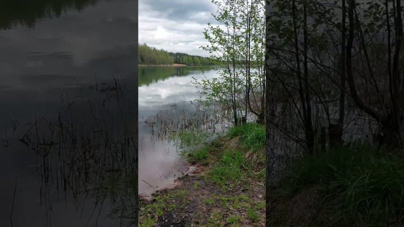 Почему Женщины Ищут Обеспеченного Мужчину