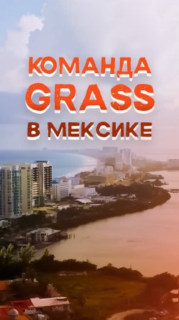 КОМАНДА GRASS В МЕКСИКЕ