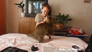 Кот укусил в шею ребенка
