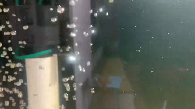 Блондинка-очистка воды от мути смотреть онлайн