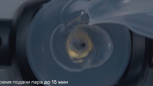 Пароочиститель Pioneer SC220