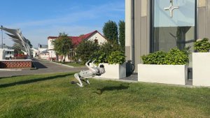 Робособака Go2 Pro делает сальто вперед