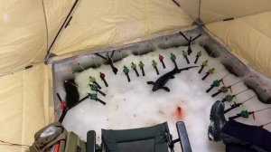 Стрим по ловле осетра Зимой.