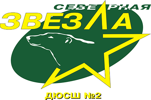 Удержание шайбы