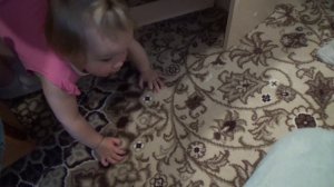 06 2020 Ярославль