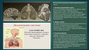 Реальные причины "сезонных" заболеваний.